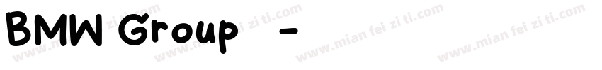 BMW Group 中文字体转换